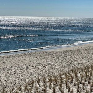 Meet your Posher, Maureen